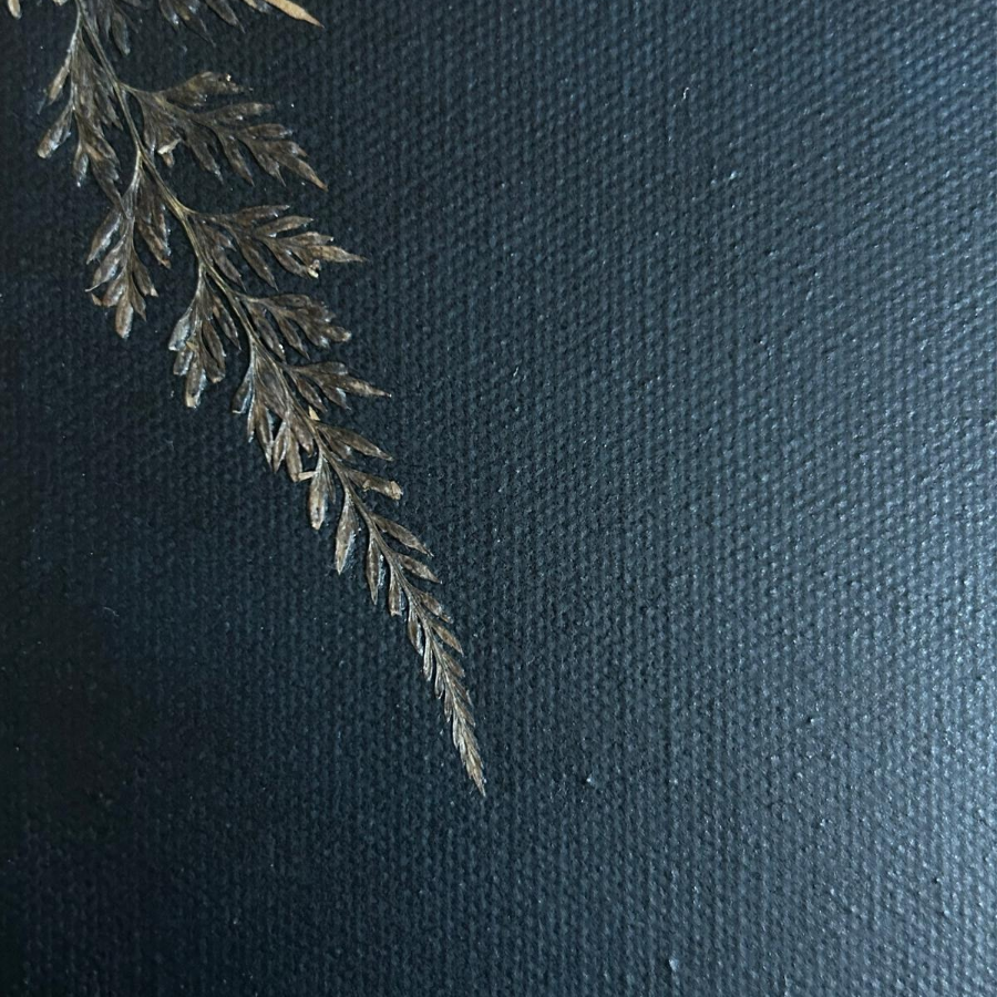 Apprends à danser sous la pluie